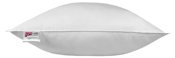 Homescapes Duck Feather Euro Continental Pillow 80cm X 80cm (32"x32")