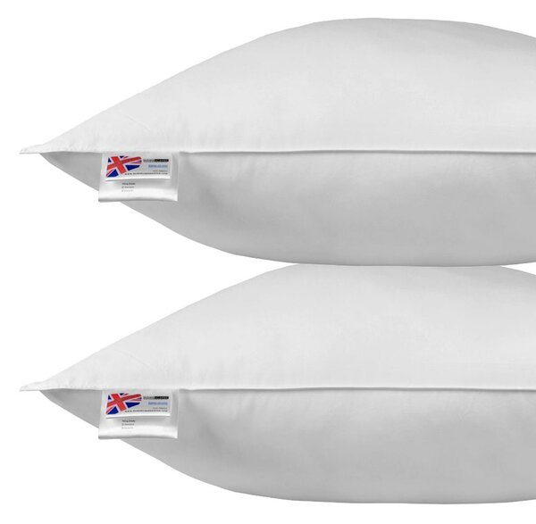 Homescapes Duck Feather & Down Euro Pillow Pair 80cm X 80cm (32"x32")