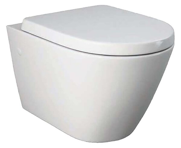 Falcon Wall Hung Toilet (Including Seat)