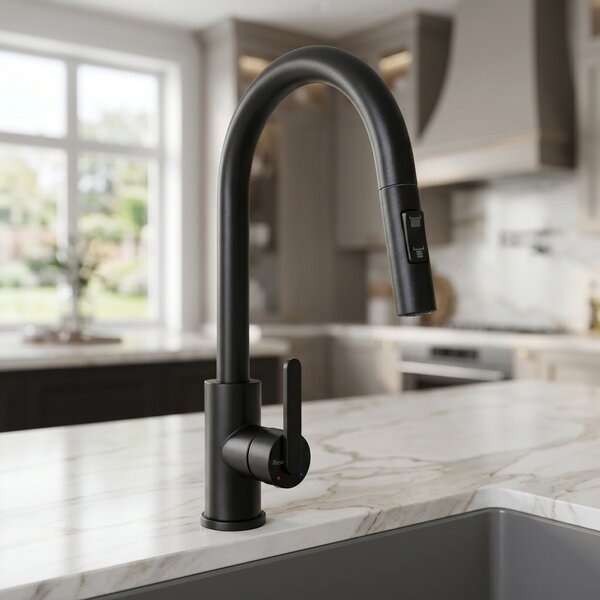 Kitchen faucet REA Ontario Black
