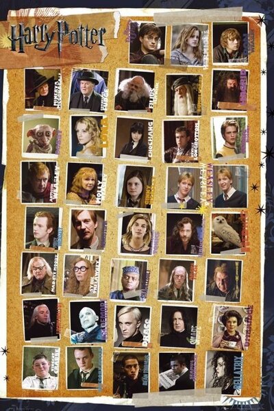 Poster Harry Potter - Characters, (61 x 91.5 cm)
