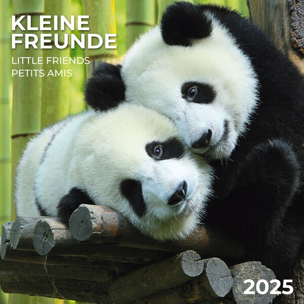 Calendar 2025 Little Friends