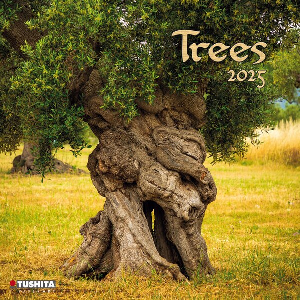 Calendar 2025 Trees