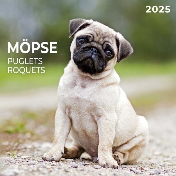 Calendar 2025 Puglets