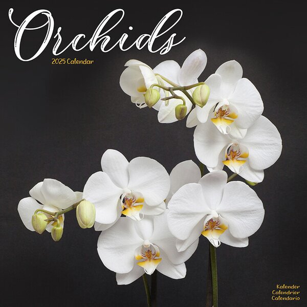 Calendar 2025 Orchids