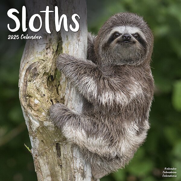 Calendar 2025 Sloths