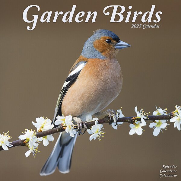 Calendar 2025 Garden Birds