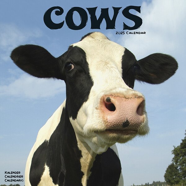 Calendar 2025 Cows