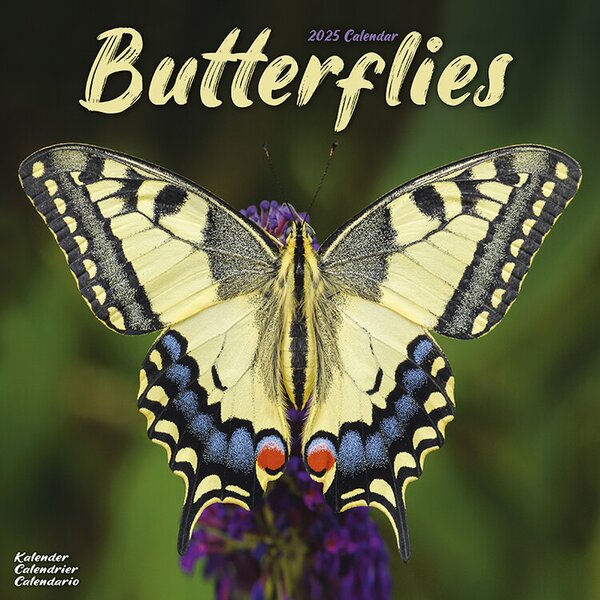 Calendar 2025 Butterflies