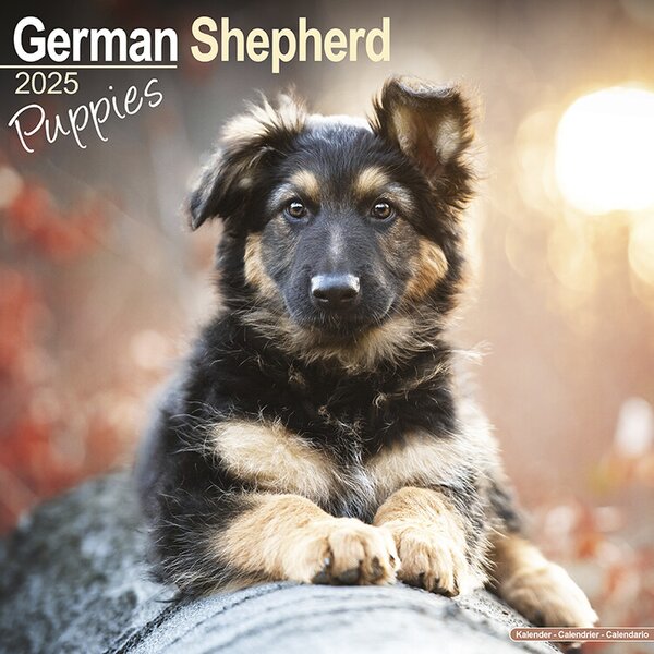 Calendar 2025 German Shepherd Puppies