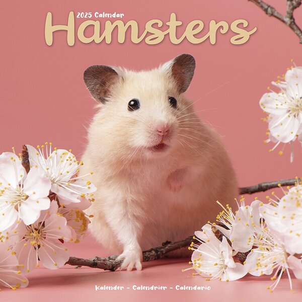 Calendar 2025 Hamsters