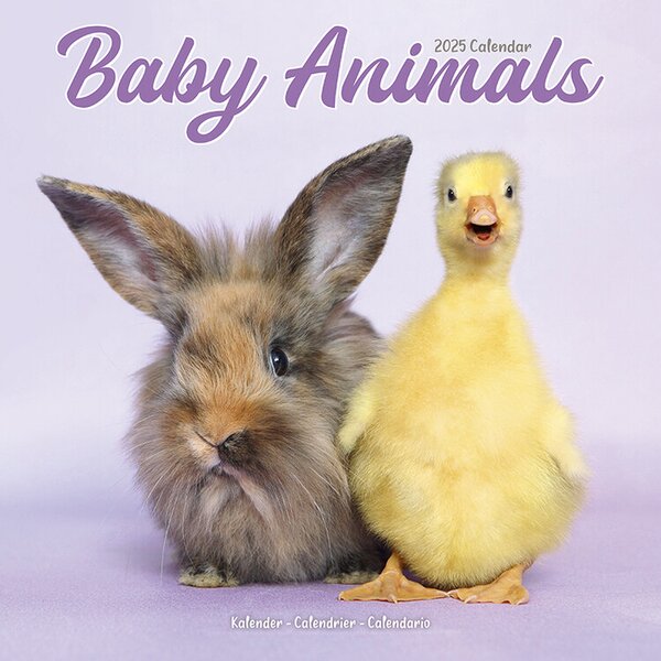 Calendar 2025 Baby Animals