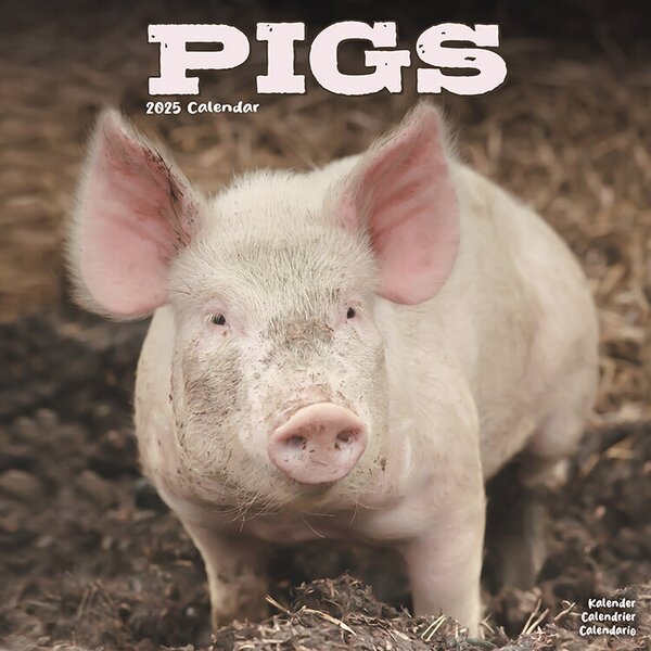 Calendar 2025 Pigs