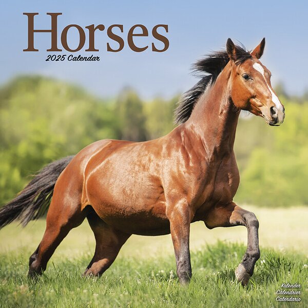 Calendar 2025 Horses