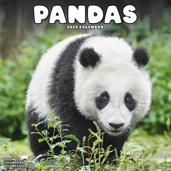 Calendar 2025 Pandas