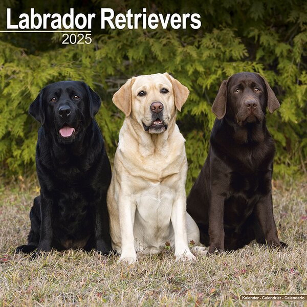 Calendar 2025 Labrador Ret