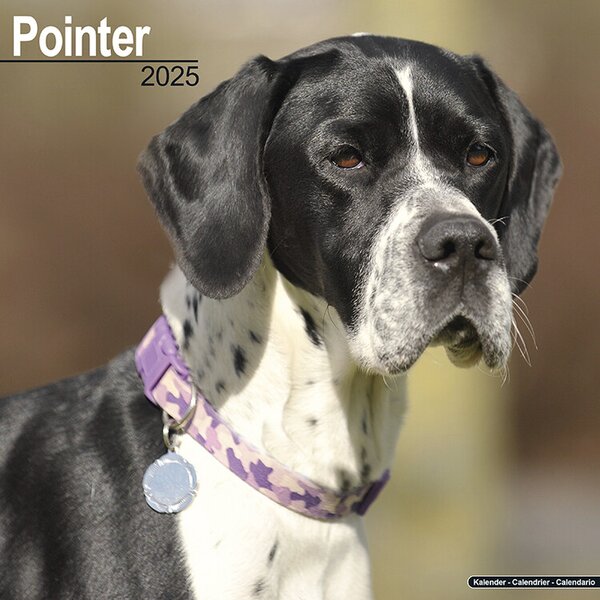 Calendar 2025 Pointer