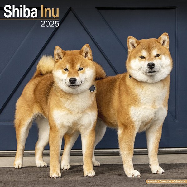 Calendar 2025 Shiba Inu