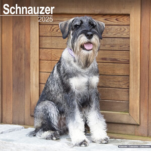 Calendar 2025 Schnauzer