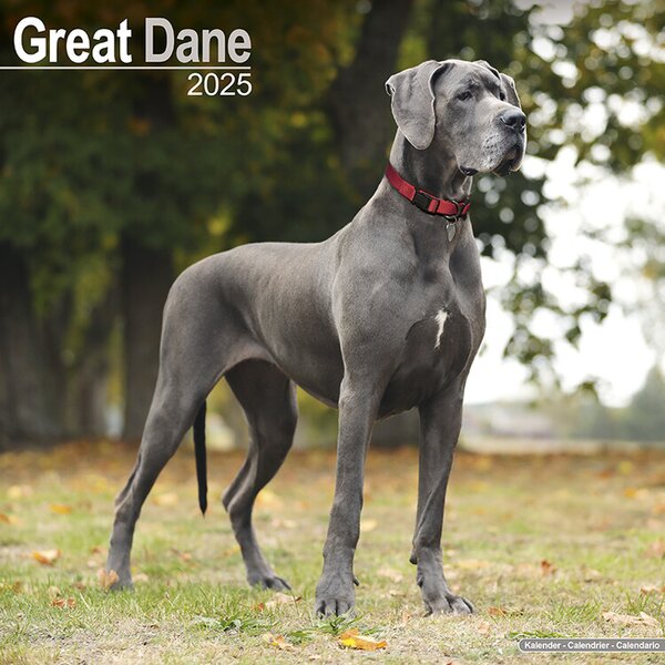 Calendar 2025 Great Dane