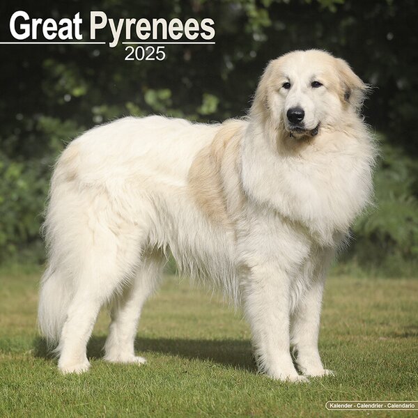 Calendar 2025 Great Pyrenees