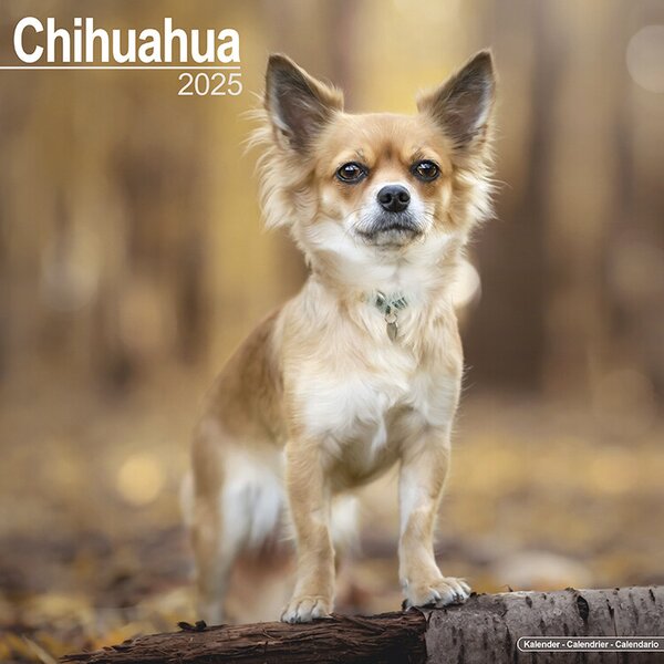 Calendar 2025 Chihuahua