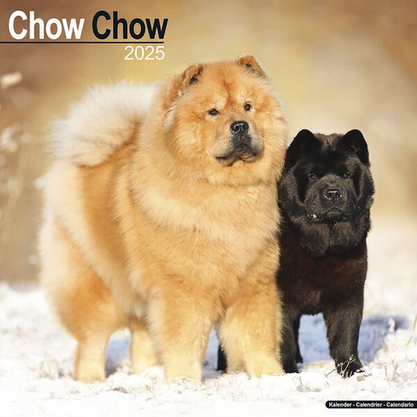 Calendar 2025 Chow Chow