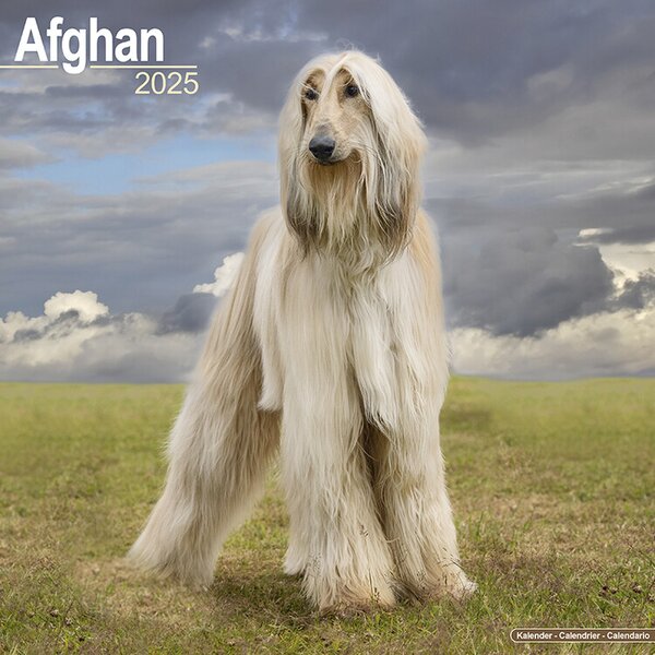 Calendar 2025 Afghan