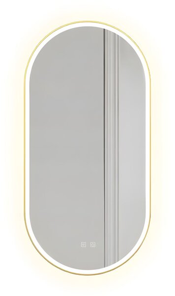 Mirror LED OVL 50x100cm Brush Gold