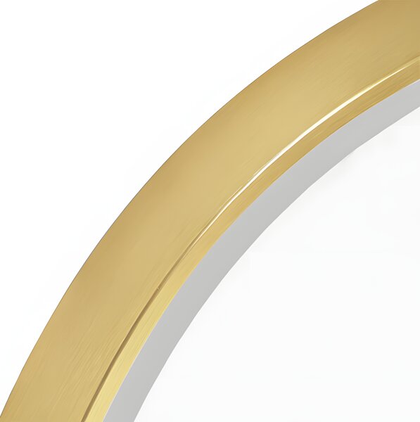 Mirror LED OVL 50x100cm Gold