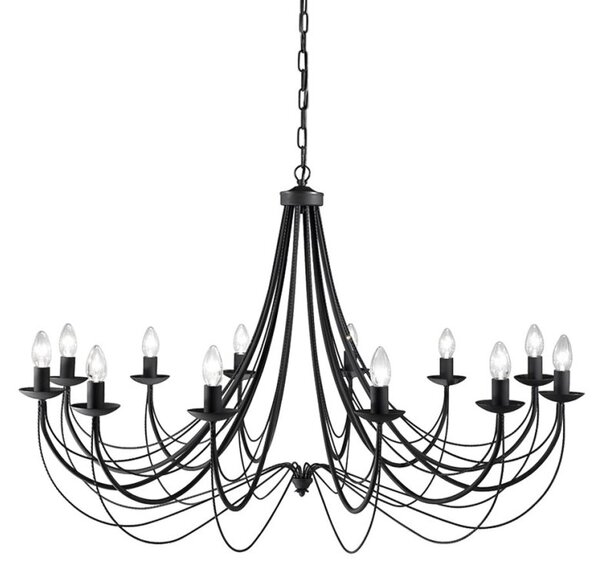 Philly 12 Light Ceiling Chandelier In Satin Black Finish FL2173/12