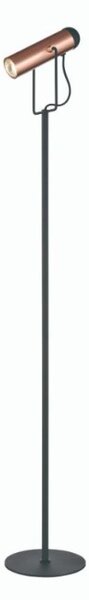 Spot Reading Floor Lamp In Black And Copper Finish S252