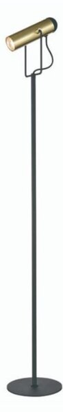 Spot Reading Floor Lamp In Black And Satin Gold Finish S253