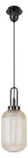 Glenn 1 Light Tubular Ceiling Pendant in Black Chrome With Champagne Glass