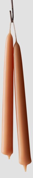Peach Blossom Beeswax Dining Candles Set of 2 | Default | Piglet in Bed