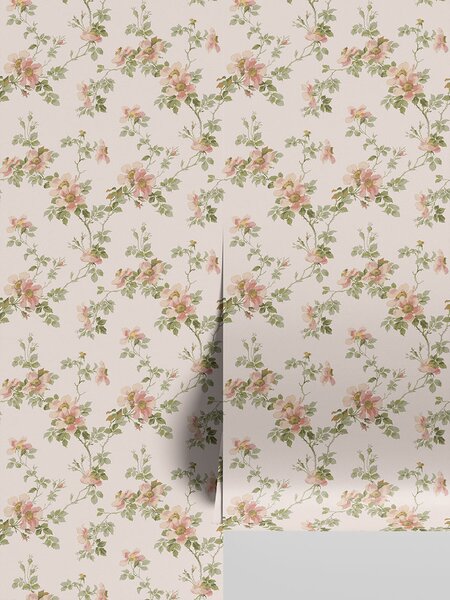 Cream Blush Field Rose Wallpaper | Default | Piglet in Bed