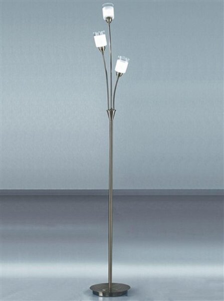 Franklite Campani 2 Light Bronze Floor Lamp SL685