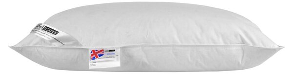 Homescapes Duck Feather Music Pillow With Speaker