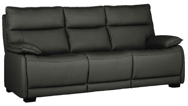 Laramie Leather 3 Seater Sofa With Oak Legs In Dark Grey