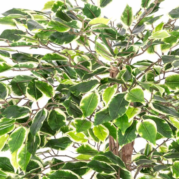 Homescapes Lifelike Artificial Variegated Ficus Tree with Wooden Stem, 4 Feet