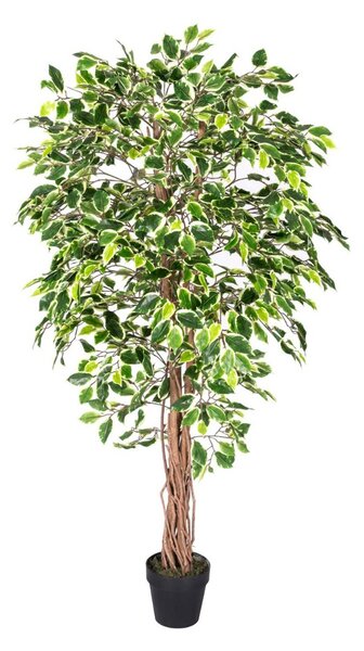 Homescapes Lifelike Variegated Artificial Ficus Tree With Real Wood Trunk, 6 Feet