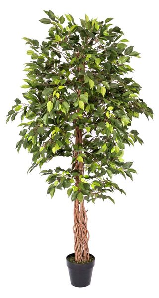 Homescapes Lifelike Artificial Ficus Tree Large Replica Plant, 6 Feet