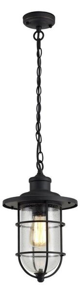 Haworth 1 Light Exterior Ceiling Pendant In Black And Gold With Clear Glass
