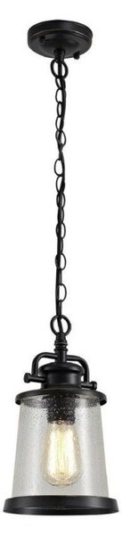 Oslo 1 Light Exterior Ceiling Pendant In Black Gold And Clear Glass