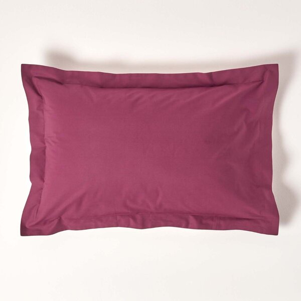 Homescapes Plum Egyptian Cotton Oxford Pillowcase 200 TC