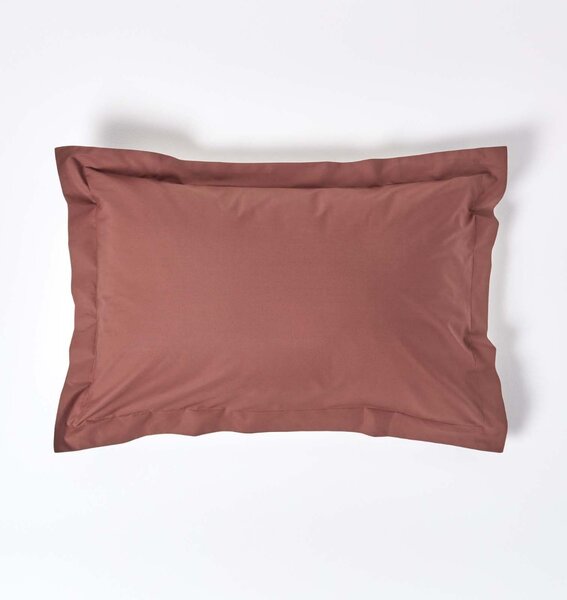 Homescapes Chocolate Egyptian Cotton Oxford Pillowcase 200 TC