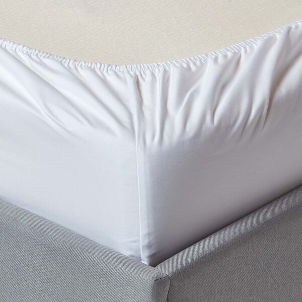 Homescapes White Egyptian Cotton Fitted Sheet 1000 TC, Single