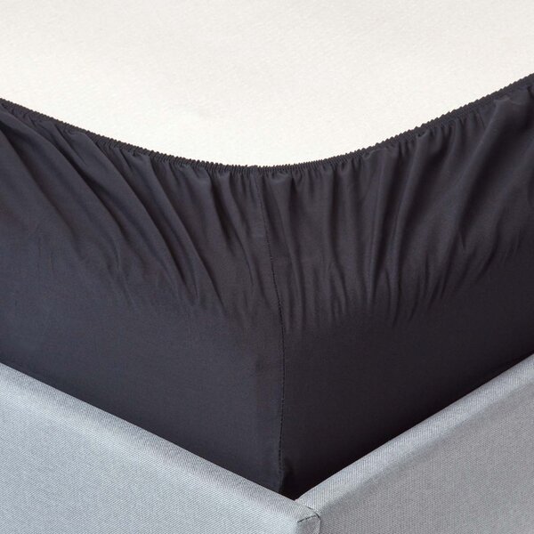 Homescapes Black Egyptian Cotton Fitted Sheet 200 TC, Single