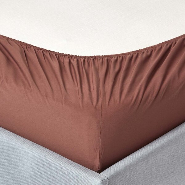 Homescapes Chocolate Egyptian Cotton Fitted Sheet 200 TC, Single