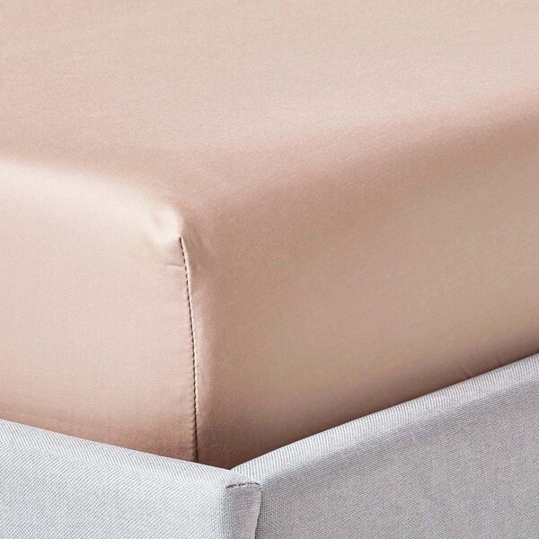 Moonlight Beige Egyptian Cotton Fitted Sheet 1000 TC, Single